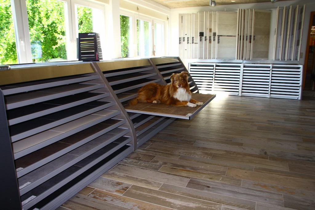 cropped-Ausstellung_4-1.jpg